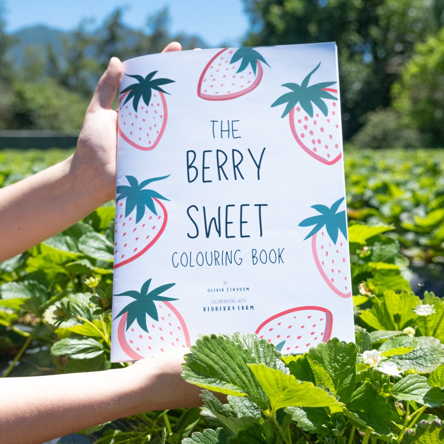 Berry Color Book Stack Berry Sweet Colouring book โ Redberry Farm