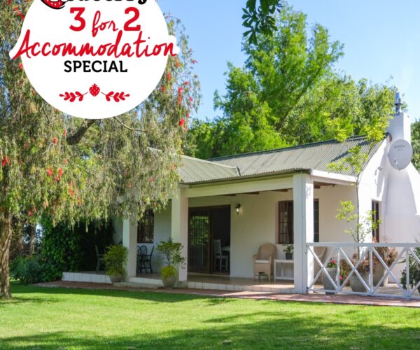 Accommodation Special